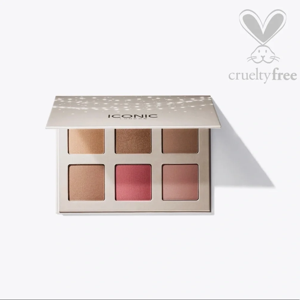 🌺 ICONIC LONDON BLAZE CHASER FACE PALETTE